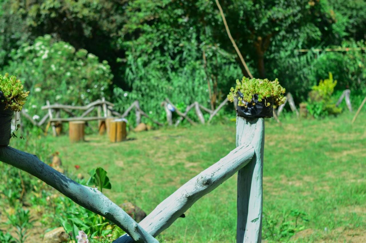 Ohiya Forest Lodge Екстериор снимка